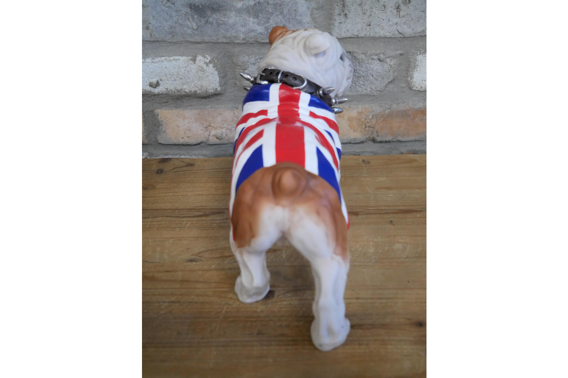 British Bulldog Standing